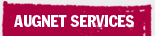 Augnet Services