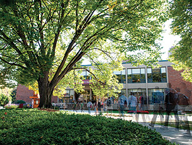 Picture of students in the quad