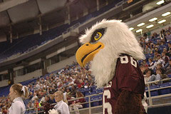 Auggie the Eagle