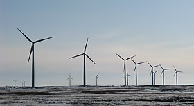 Picture of a wind farm.