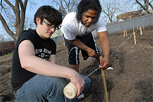 Picture of students and staff working on Augsburg's community garden.