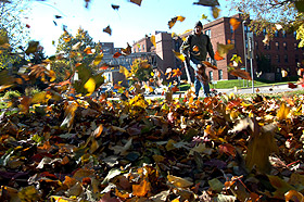 Picture of man blowing leaves