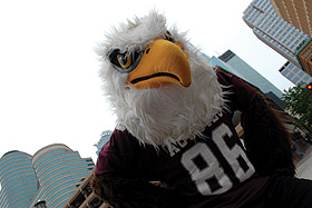 Picture of Auggie Eagle