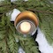 small gold candle over pine needles